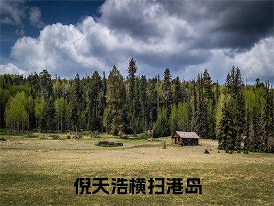横扫港岛（倪天浩）全文在线阅读无弹窗大结局_(横扫港岛在线阅读)最新章节列表_笔趣阁（倪天浩）