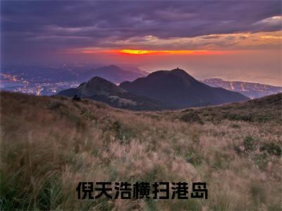 横扫港岛(倪天浩小说)全文免费阅读无弹窗大结局_倪天浩小说免费阅读最新章节列表_笔趣阁（横扫港岛小说）