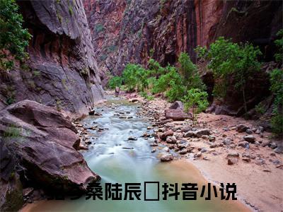 纪岑桑陆辰晞(纪岑桑陆辰晞)全文无弹窗大结局_纪岑桑陆辰晞在线阅读无弹窗最新章节列表_笔趣阁