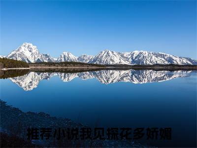 靖宝顾长平（我见探花多娇媚免费小说）全文免费阅读无弹窗大结局_我见探花多娇媚免费小说最新章节列表_笔趣阁