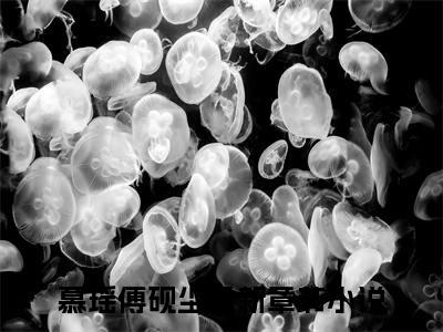 慕瑶傅砚尘小说（慕瑶傅砚尘）免费阅读全文-完整版小说（慕瑶傅砚尘）最新在线阅读