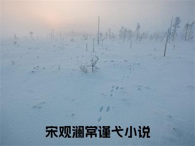 宋观澜常谨弋小说全文无删减版在线阅读_（宋观澜常谨弋）小说全文免费阅读_宋观澜常谨弋最新章节列表_笔趣阁