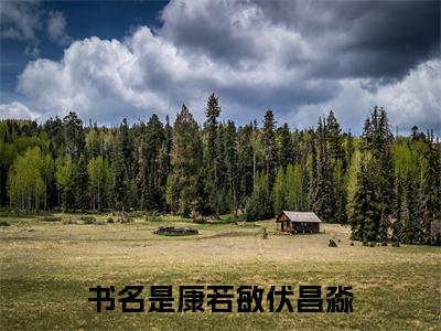 康若敏伏昌淼全文免费阅读小说今日已更新最新章节_康若敏伏昌淼全文免费阅读最新章节列表