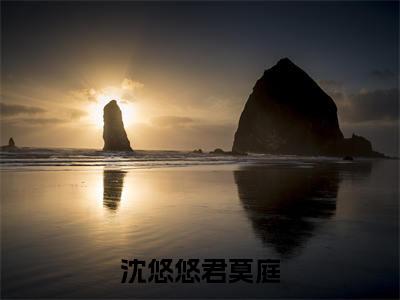 沈悠悠君莫庭（愿你我天各一方，永不相逢）全文免费阅读无弹窗大结局_愿你我天各一方，永不相逢最新章节列表_笔趣阁（愿你我天各一方，永不相逢）