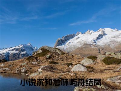 沈知意林屿舟小说大结局免费阅读-完结版沈知意林屿舟小说免费阅读