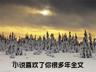 喜欢了你很多年免费阅读（乔舒陆砚州）全文免费阅读无弹窗大结局_喜欢了你很多年免费阅读最新章节列表_笔趣阁（乔舒陆砚州）