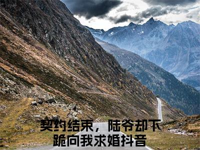 慕语陆之野（契约结束，陆爷却下跪向我求婚）在线阅读-慕语陆之野小说契约结束，陆爷却下跪向我求婚完整版免费阅读
