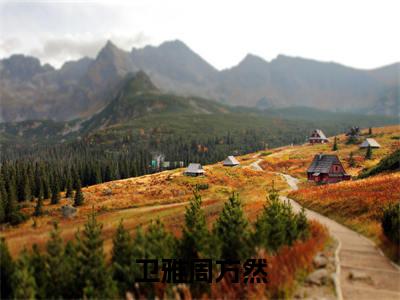 卫雅周方然小说（卫雅周方然）全文免费阅读无弹窗大结局_卫雅周方然最新章节列表_笔趣阁