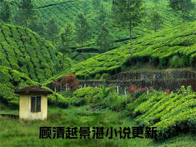 顾清越景湛(偏执占有！自闭少年又在装乖骗我)全文免费读无弹窗大结局_偏执占有！自闭少年又在装乖骗我免费小说顾清越景湛读无弹窗最新章节列表_笔趣阁（偏执占有！自闭少年又在装乖骗我）