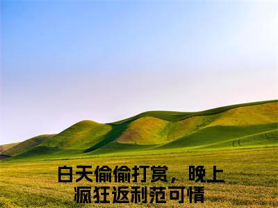 白天偷偷打赏，晚上疯狂返利范可情（白天偷偷打赏，晚上疯狂返利范可情）全文免费阅读无弹窗大结局_（白天偷偷打赏，晚上疯狂返利范可情）章节列表_笔趣阁