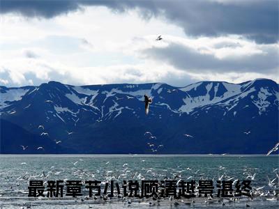 顾清越景湛终抖音热推新书小说全文阅读 （顾清越景湛终）全文免费阅读大结局
