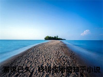 靳尘顾笙(蓄谋已久，终得偿所愿)小说免费下载全本-靳尘顾笙（蓄谋已久，终得偿所愿完整版）免费阅读（靳尘顾笙）