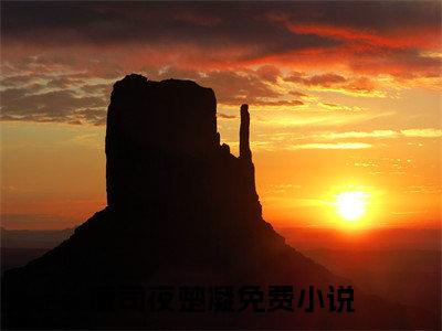 凌司夜楚凝小说热门阅读全文-凌司夜楚凝章节无删减版