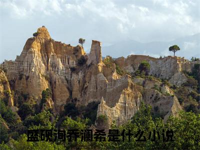 盛砚洵乔澜希小说最新章节阅读 盛砚洵乔澜希全文免费阅读最新章节大结局