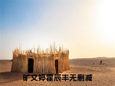时隔五年，他们再次重逢（旷文婷霍辰丰）全文免费阅读无弹窗大结局_旷文婷霍辰丰(旷文婷霍辰丰小说免费阅读)_笔趣阁