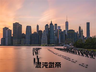 苏尘（混沌武帝）热门免费小说-混沌武帝（苏尘）精彩小说全文赏析