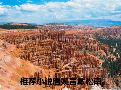 （唐婉言戴松南）心死后，他们感情就此别过全文免费阅读无弹窗_（心死后，他们感情就此别过小说免费阅读）最新章节列表笔趣阁