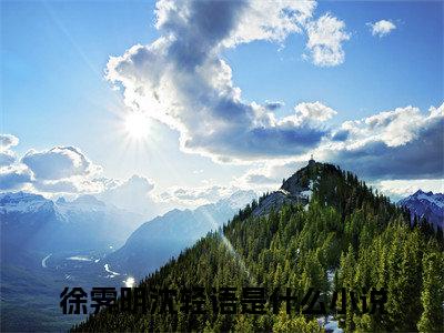 徐霁明沈轻语小说（徐霁明沈轻语）全文免费阅读大结局_（徐霁明沈轻语）徐霁明沈轻语小说最新章节列表_笔趣阁（徐霁明沈轻语）