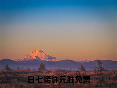 白七诺许元胜（手别抖，让我成为你的一等功）全文免费阅读无弹窗大结局_白七诺许元胜全文免费阅读（手别抖，让我成为你的一等功）最新章节列表_笔趣阁（白七诺许元胜）