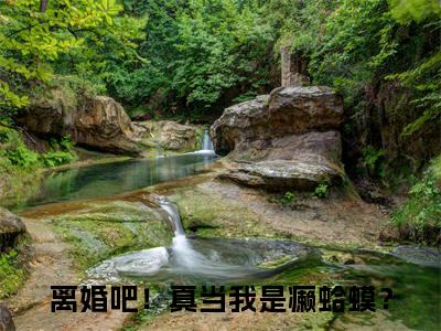 楚宇轩夏竹免费小说 离婚吧！真当我是癞蛤蟆？全文完整版阅读