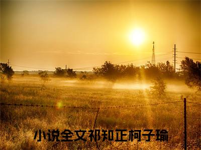 祁知正柯子瑜免费（祁知正柯子瑜）全文免费阅读无弹窗大结局_祁知正柯子瑜免费最新章节列表_笔趣阁