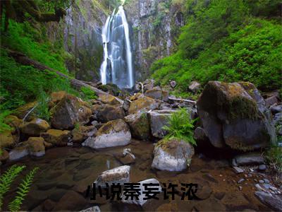 秦妄许浓小说（秦妄许浓）全文在线阅读免费大结局_秦妄许浓小说最新章节列表_笔趣阁（秦妄许浓）