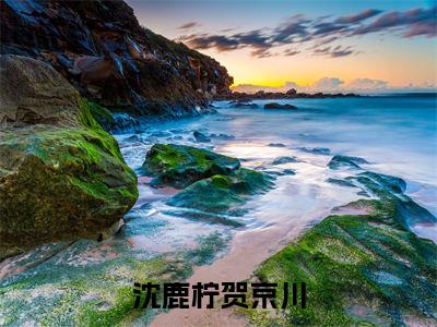 美文沈鹿柠贺京川大结局小说-小说（沈鹿柠贺京川）免费分享