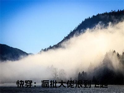 司锦（快穿：疯批大佬浪到飞起）小说全文免费阅读无弹窗大结局_司锦全文在线阅读无弹窗（快穿：疯批大佬浪到飞起）