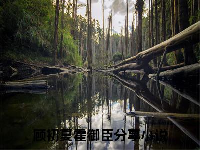 顾初夏霍御臣小说（顾初夏霍御臣）全文免费阅读无弹窗大结局_(顾初夏霍御臣小说免费阅读)顾初夏霍御臣小说最新章节列表_笔趣阁
