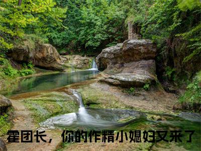 小说《霍团长，你的作精小媳妇又来了》全文免费阅读无弹窗-纪书浅霍楚年小说全文在线赏析