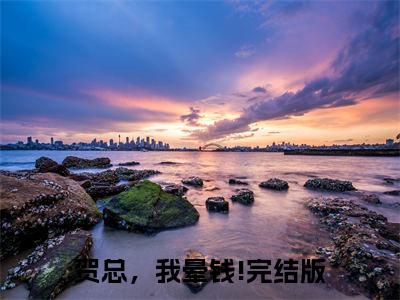 贺总，我晕钱!（许芷韵贺彦翰）小说好看吗-贺总，我晕钱!最后结局如何（许芷韵贺彦翰）小说无弹窗免费阅读