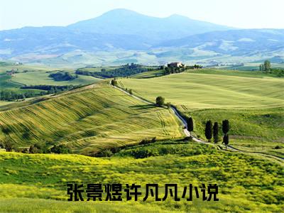 《张景煜许凡凡》最新章节免费阅读-张景煜许凡凡无广告小说精彩阅读