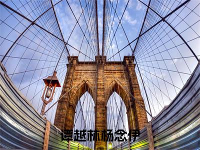 谭越林杨念伊(谭越林杨念伊)全文免费阅读_谭越林杨念伊（谭越林杨念伊在线小说免费阅读）全文阅读