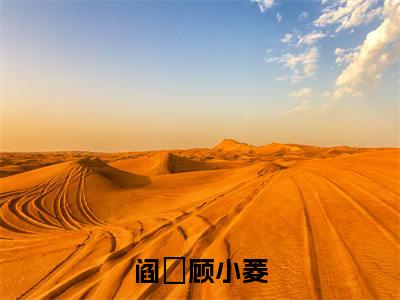 阎澪顾小菱（阎澪顾小菱）最新章节在线阅读-全文小说（阎澪顾小菱）免费阅读