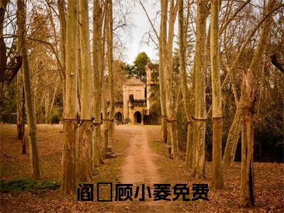 阎澪顾小菱（阎澪顾小菱）全文免费阅读无弹窗大结局_(阎澪顾小菱免费阅读)阎澪顾小菱最新章节列表_笔趣阁（阎澪顾小菱）