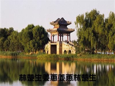 小说林楚生姜蕙（姜蕙林楚生小说免费阅读）完结阅读，林楚生姜蕙在线阅读