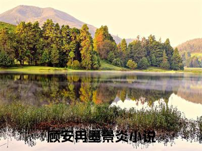 顾安冉墨景炎免费小说-顾安冉墨景炎完结版在线阅读