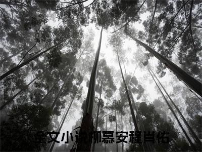 柳慕安程肖佑是哪部小说的主角-柳慕安程肖佑（柳慕安程肖佑）全文无弹窗完整版阅读柳慕安程肖佑
