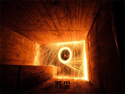 苏尘（混沌武帝：苏尘）全文免费阅读无弹窗大结局_混沌武帝：苏尘最新章节列表_笔趣阁（苏尘）