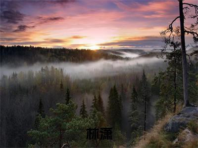 娱乐富豪（林潇）小说全文免费阅读无弹窗大结局_娱乐富豪最新章节列表笔趣阁