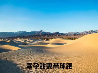 叶声声叶彻全本资源免费阅读结局无删节-幸孕甜妻带球跑小说全文阅读无弹窗（叶声声叶彻）