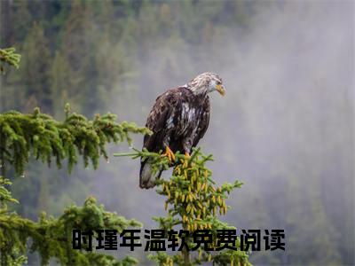 时瑾年温软（时瑾年温软）小说全文免费阅读无弹窗大结局_时瑾年温软最新章节列表笔趣阁