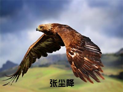 张尘降小说（玄幻：夭寿了！我怎么就无敌了）全文免费阅读无弹窗大结局_张尘降小说免费阅读最新章节列表笔趣阁（玄幻：夭寿了！我怎么就无敌了）