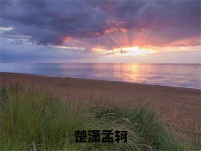 楚潇孟轲小说（孟轲楚潇）全文在线阅读无弹窗大结局_（楚潇孟轲在线阅读无弹窗）最新章节列表_笔趣阁（孟轲楚潇）
