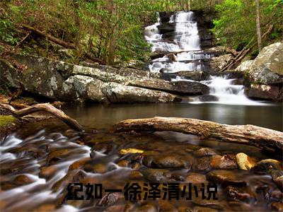 纪如一徐泽清全文免费阅读 纪如一徐泽清章节免费阅读