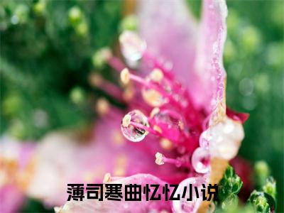 薄司寒曲忆忆小说全文免费阅读（薄司寒曲忆忆）全文免费薄司寒曲忆忆小说无弹窗大结局_薄司寒曲忆忆读最新章节列表_笔趣阁（薄司寒曲忆忆小说）