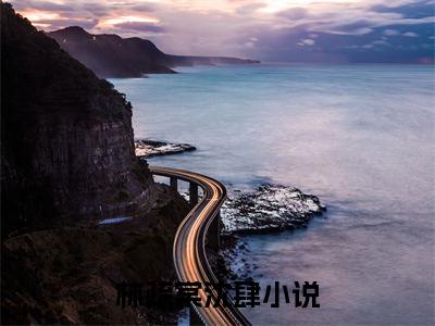 林疏棠沈肆全文赏析完整版阅读-林疏棠沈肆小说最新章节免费阅读