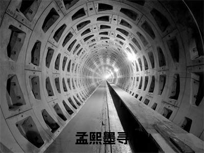 孟熙墨寻（孟熙墨寻）全文免费阅读大结局-孟熙墨寻小说全文免费阅读最新章节列表