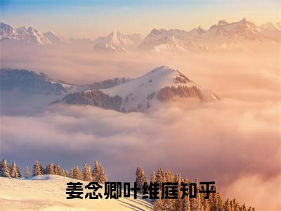 主角姜念卿叶维庭小说免费阅读全文姜念卿叶维庭-姜念卿叶维庭小说番外姜念卿叶维庭全文阅读