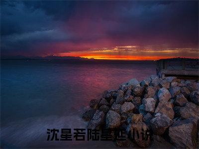 沈星若陆星延免费小说 沈星若陆星延完结版在线阅读